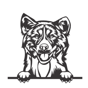 Akita