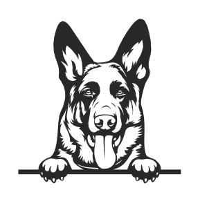 German Sheppard