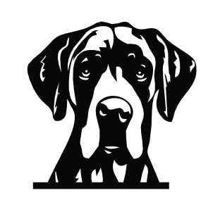 Great Dane