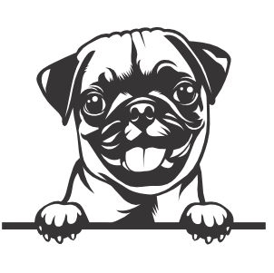 Pug