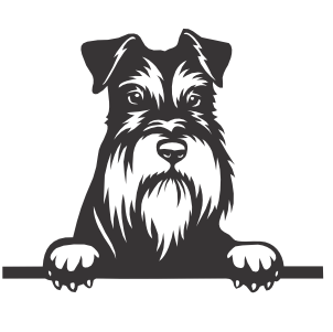 Schnauzer