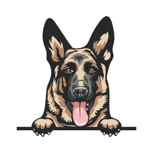 German Shepard
