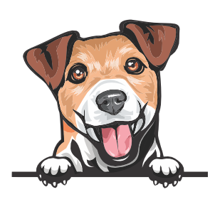 Jack Russel