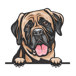 Mastiff