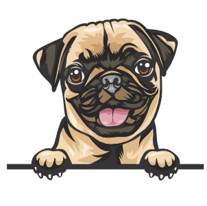 Pug