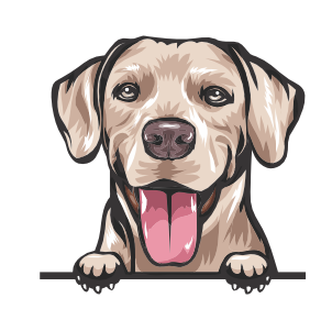 Rhodesian Ridgeback
