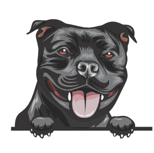 Staffie