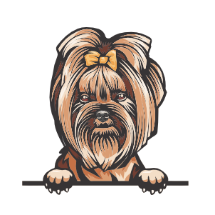 Yorkie