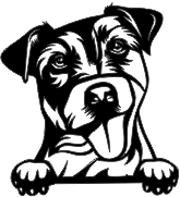 gg pet bowl04