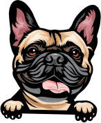 gg website