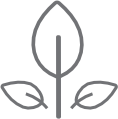 icon01