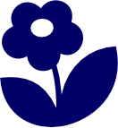 icon11